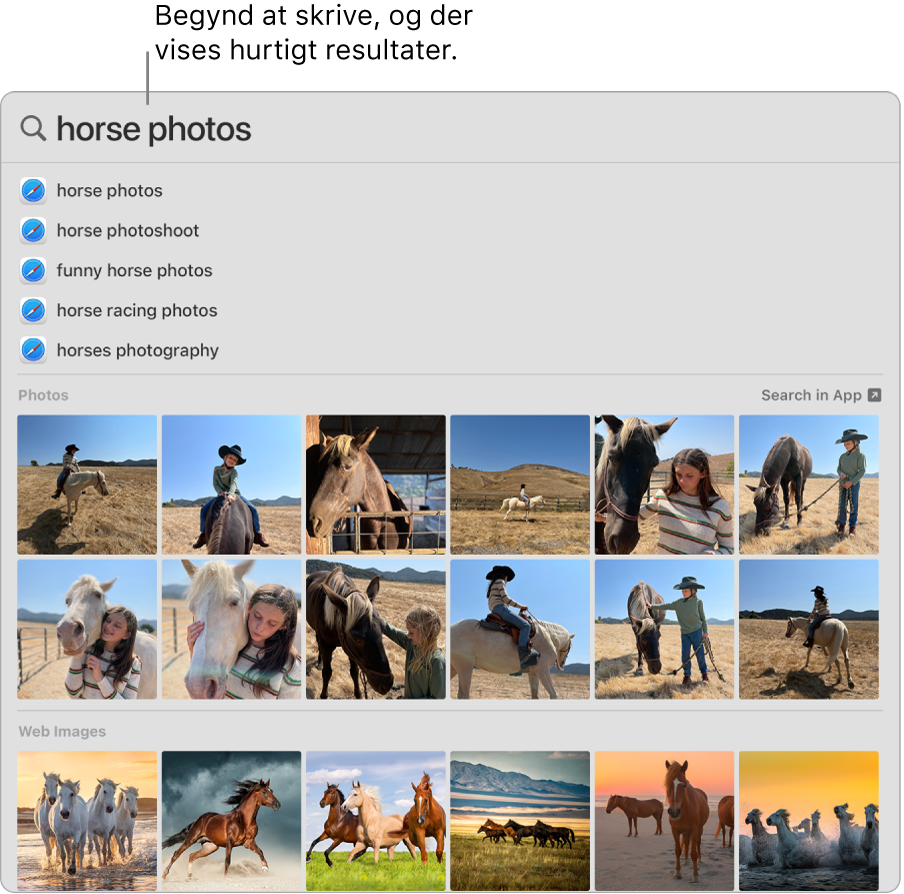Spotlight-vinduet, der viser søgeresultater for “horse photos”.