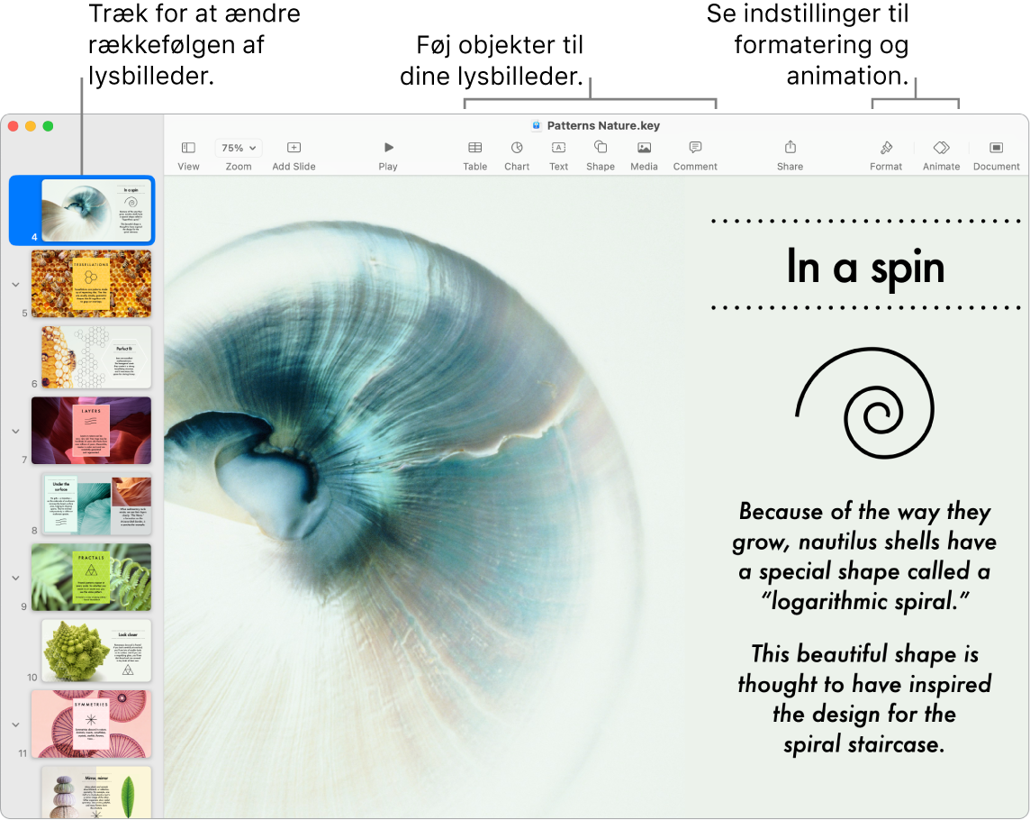 Et Keynote-vindue med lysbillednavigatoren til venstre, en anvisning på, hvordan du flytter rundt på lysbilleder, værktøjslinjen og dens redigeringsværktøjer øverst, knappen Samarbejd øverst til højre og knapperne Format og Animer til højre.