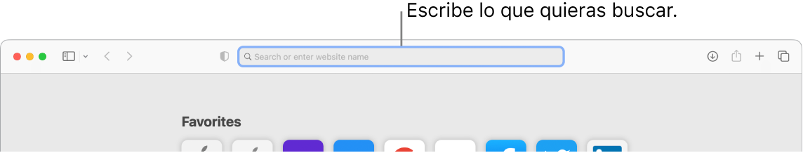 Una ventana de Safari recortada con texto indicando el campo de búsqueda en la parte superior de la página.