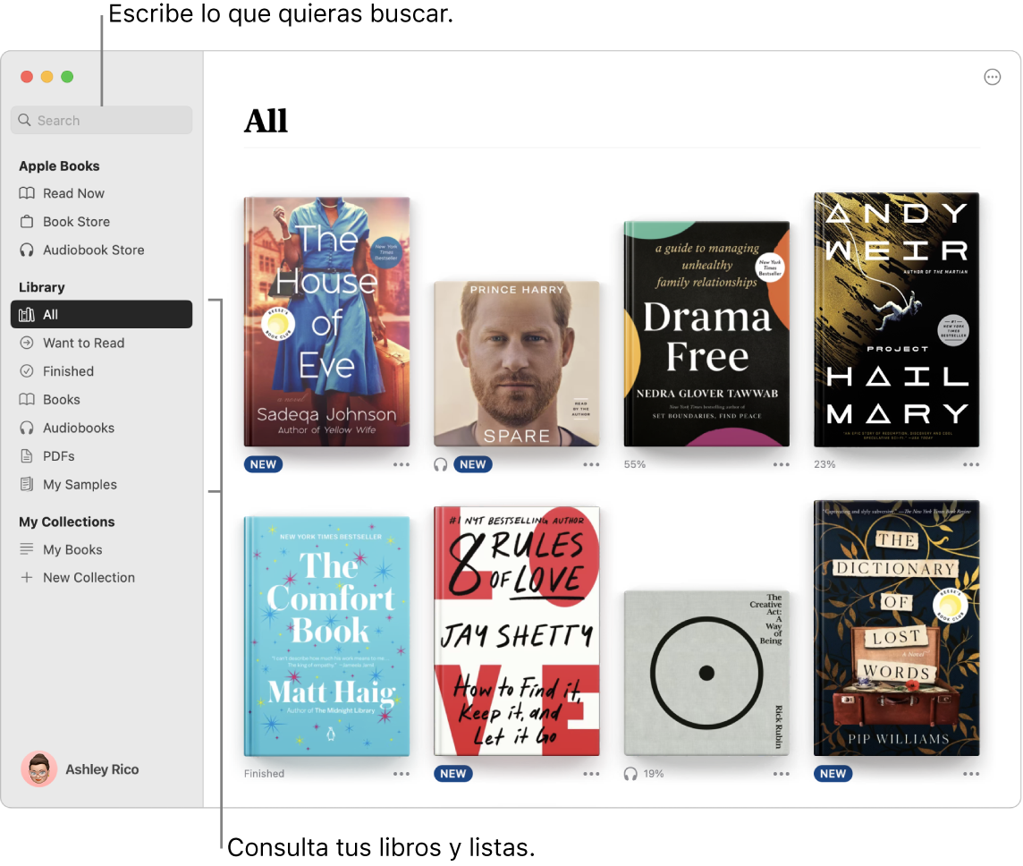 Ventana de la app Libros mostrando cómo ver libros, explorar contenido selecto y buscar.