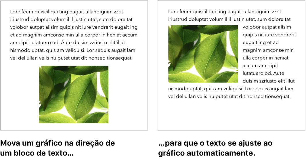 Janela do Pages mostrando como o texto se ajusta ao redor de gráficos.