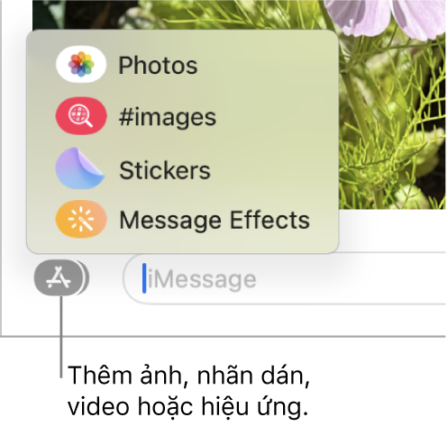 Menu Ứng dụng với các tùy chọn để hiển thị ảnh, nhãn dán, GIF và hiệu ứng tin nhắn.