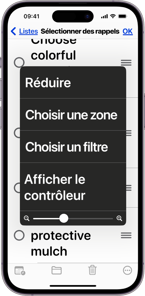 Un iPhone affichant le menu Zoom.