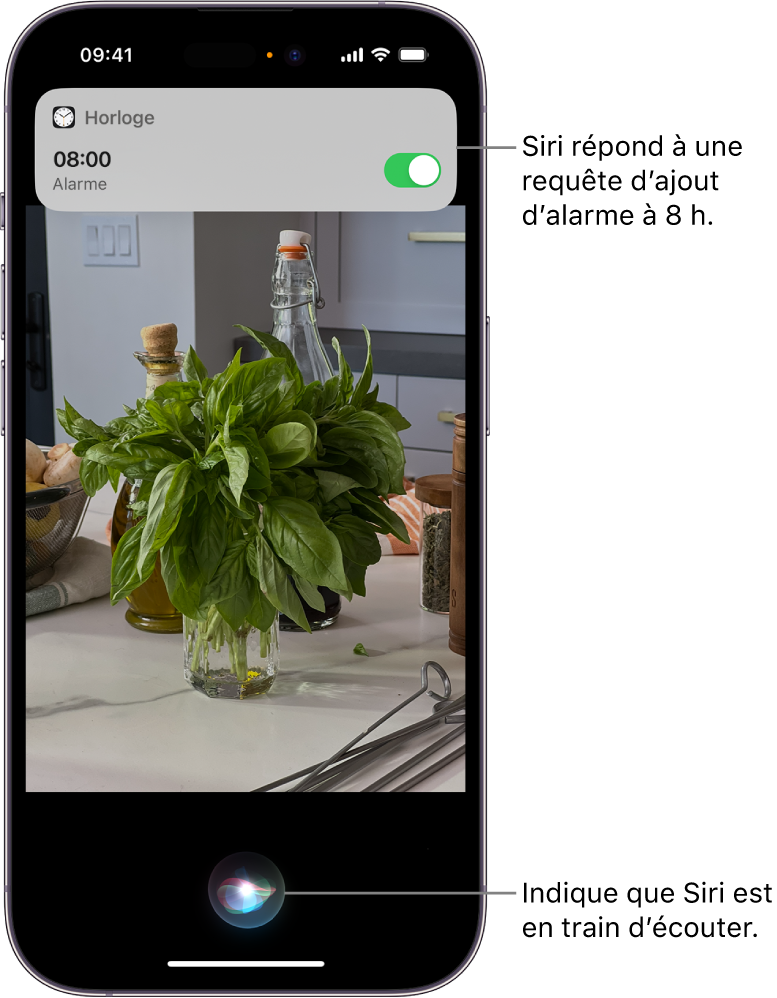 Un écran d’iPhone. En haut de l’écran, une notification de l’app Horloge indique qu’une alarme est activée pour 8h00. Une icône en bas de l’écran indique que Siri est à l’écoute.