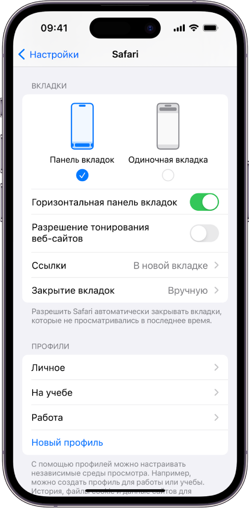 На экране показаны два параметра настройки внешнего вида Safari: &laquo;Панель вкладок&raquo; и &laquo;Одиночная вкладка&raquo;.