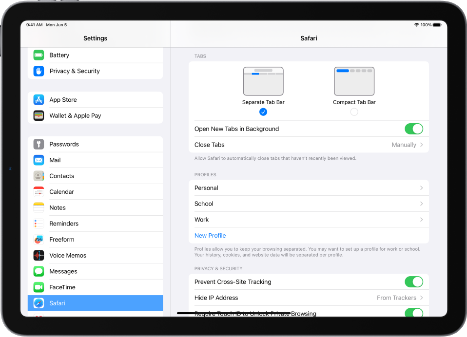 Ipad Safari Screen Offers Discounted Www pinnaxis
