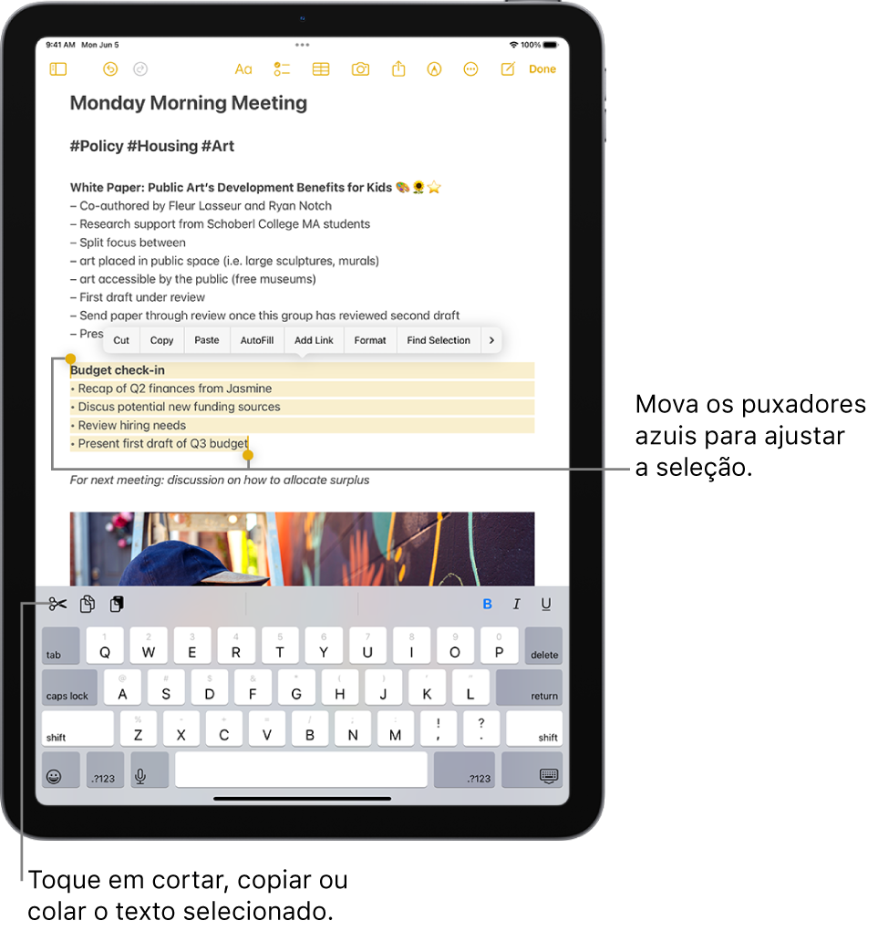 Apple resolve ensinar donos de iPad sobre as compras dentro dos