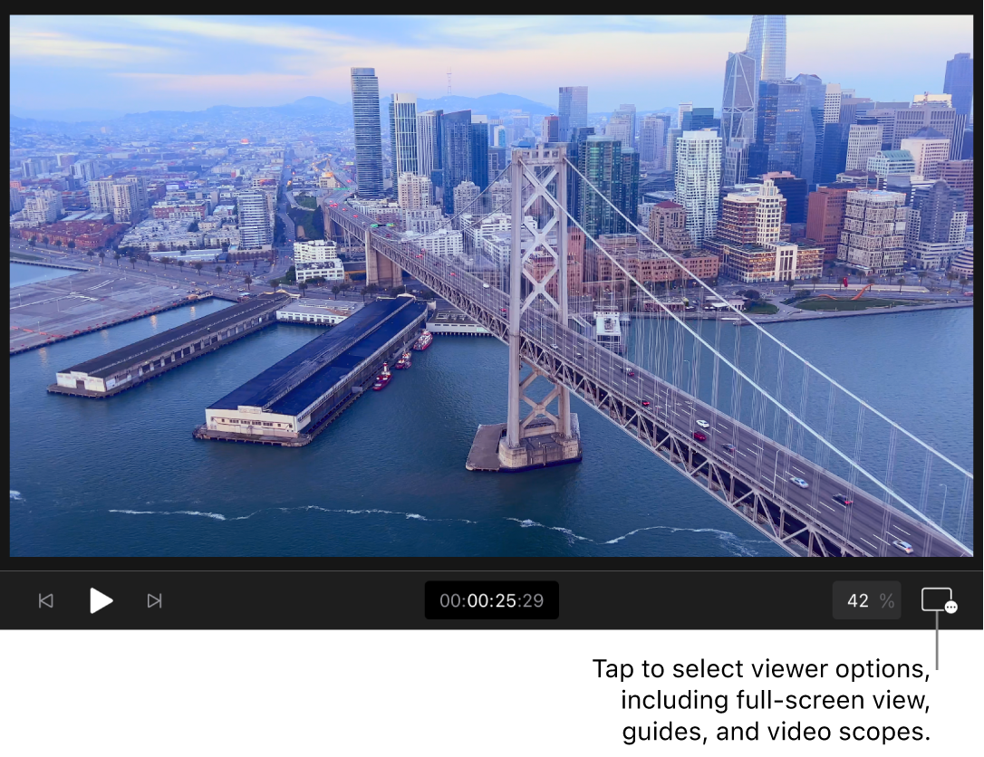 Ein Videobild im Viewer mit Wiedergabesteuerungen, dem Timecode, dem Steuerelement für die Zoomstufe und der Taste „Viewer-Optionen“ darunter.