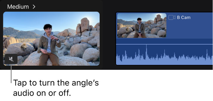 An audio icon in the lower-left corner of an angle thumbnail in the angle editor.