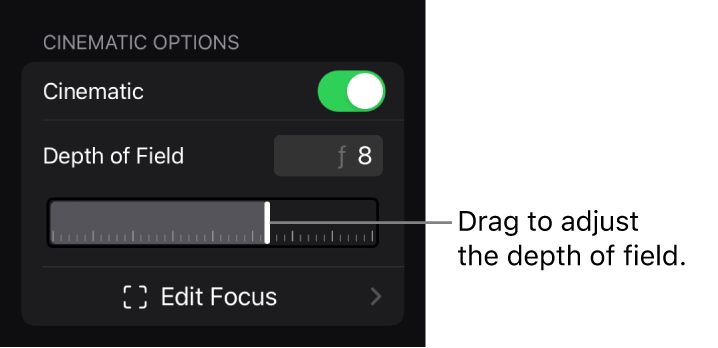 The Cinematic Options section of the inspector, showing the Depth of Field slider.