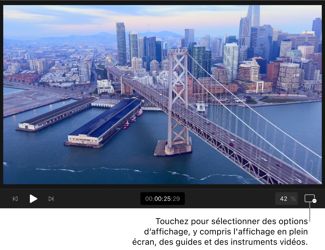 Une image vidéo dans le visualiseur, avec commandes de lecture, timecode, la commande « Niveau de zoom » et le bouton « Options du visualiseur » en dessous.