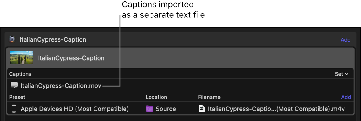 Área de lote con un archivo de subtítulos añadido como archivo de texto independiente