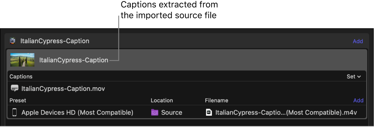 Área de lote con un archivo de subtítulos extraído del archivo fuente de vídeo