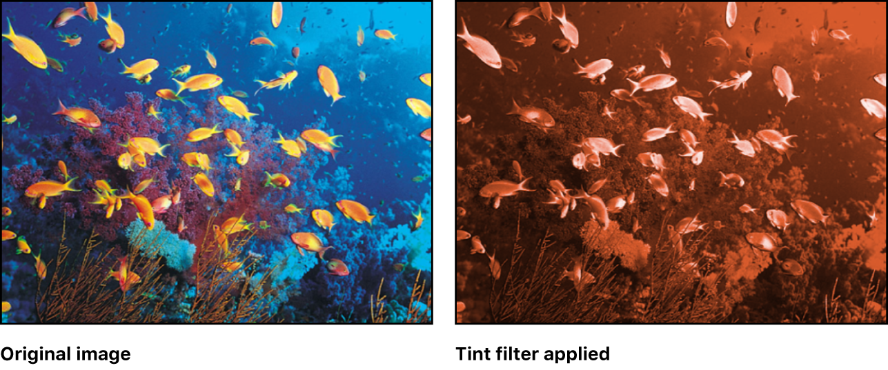 Canvas showing effect of Tint filter