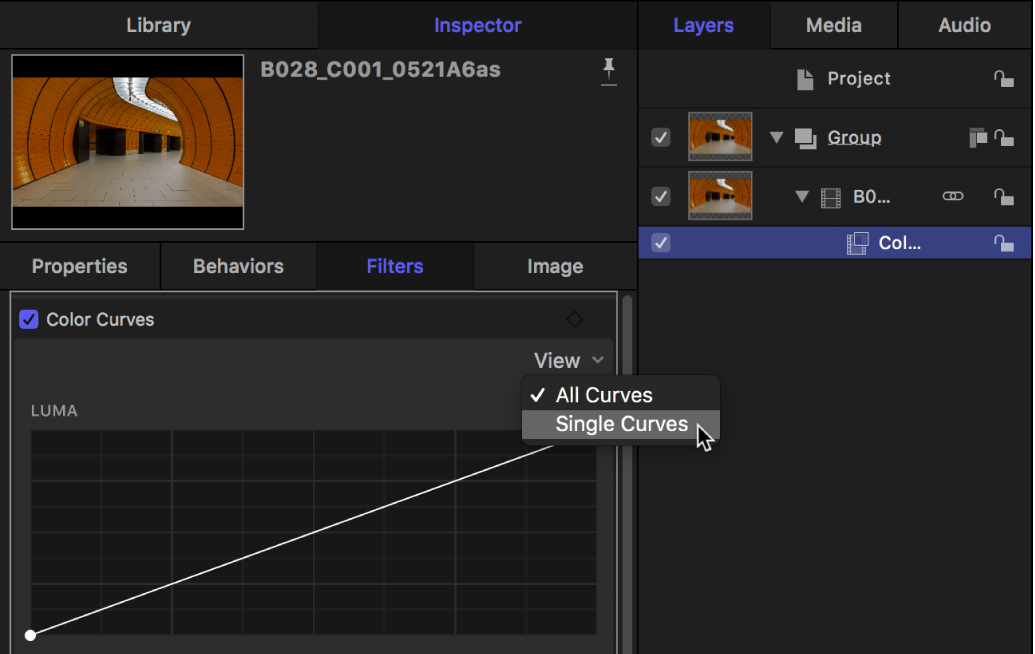 Display options in the Color Curves View pop-up menu in the Filters Inspector