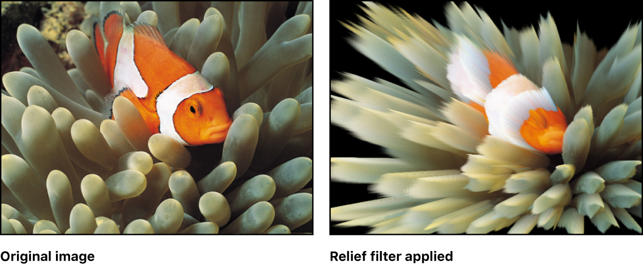Canvas showing effect of Relief filter