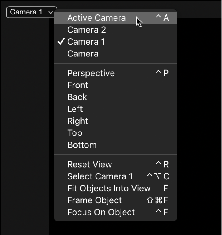 Choosing Active Camera from the Camera pop-up menu in the canvas