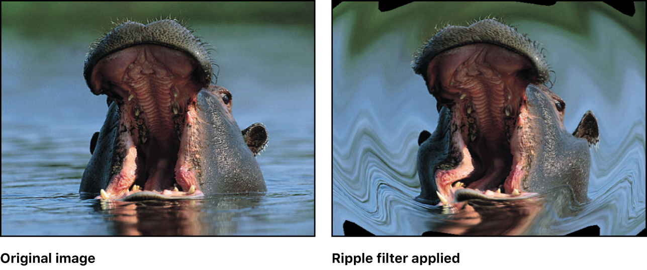 Canvas showing effect of Ripple filter