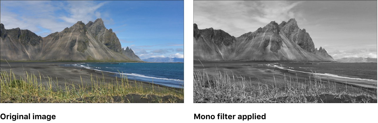 Canvas showing effect of Mono filter