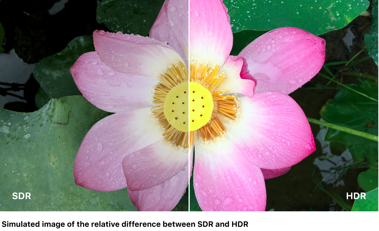 A simulated split-screen image comparing SDR and HDR.