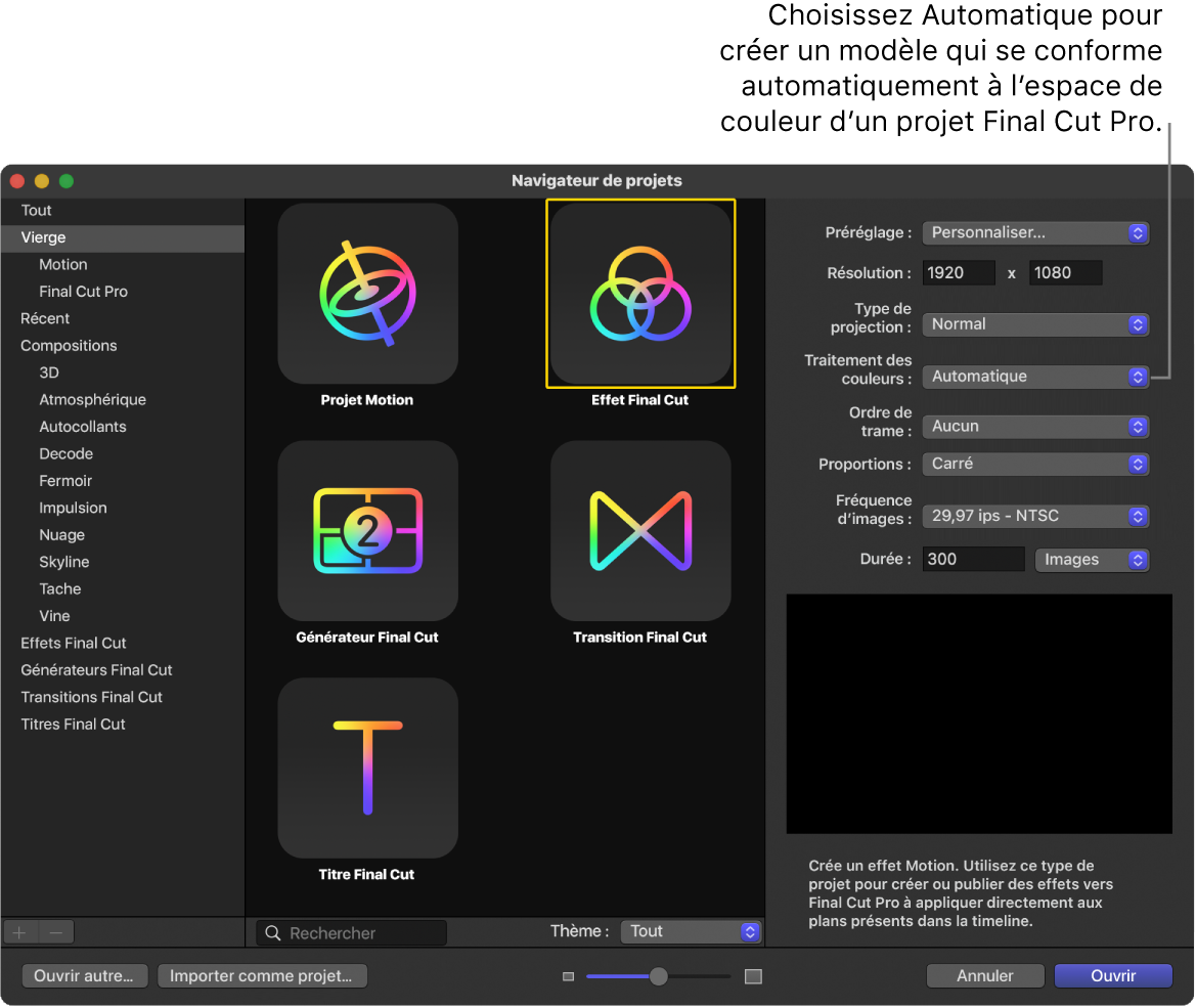 Navigateur de projets montrant l’icône Effet Final Cut et le Traitement des couleurs défini sur Automatique