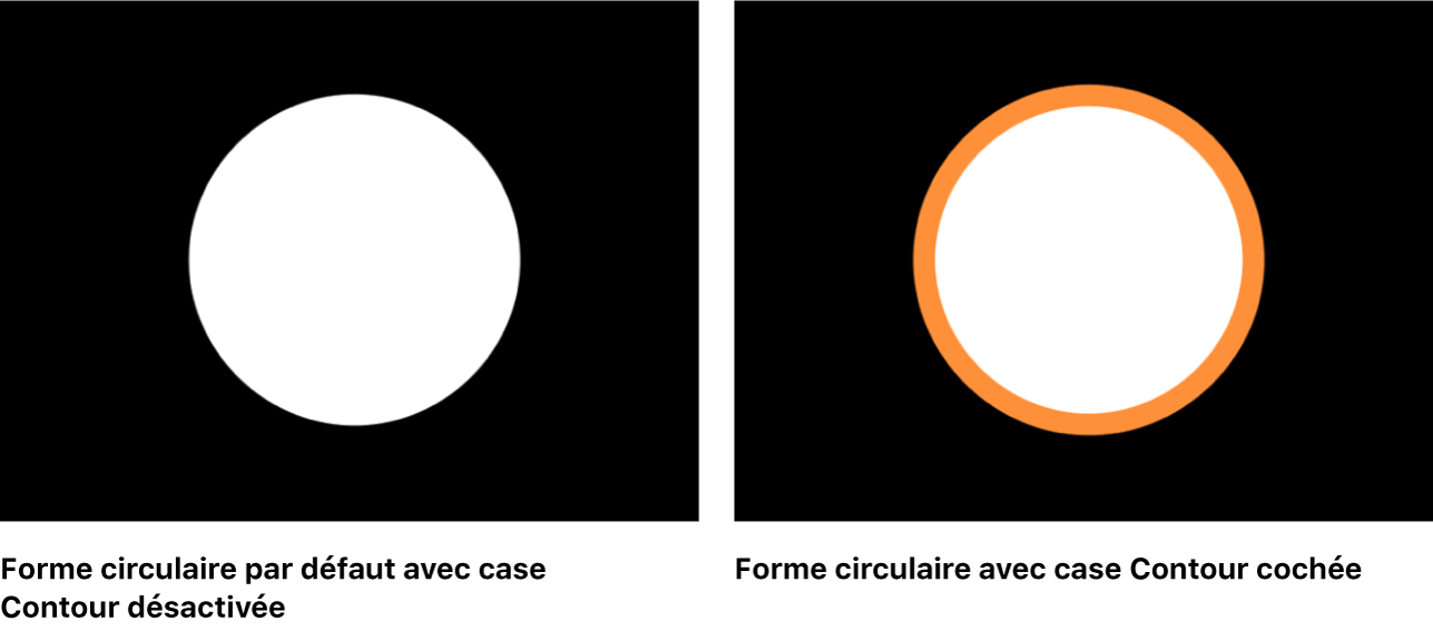 Canevas affichant une forme circulaire avec et sans la case Contour cochée