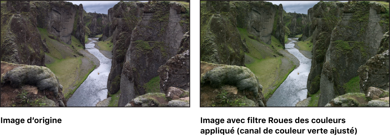 Canevas affichant l’effet du filtre Roues des couleurs (avec le canal du vert des tons intermédiaires ajusté)