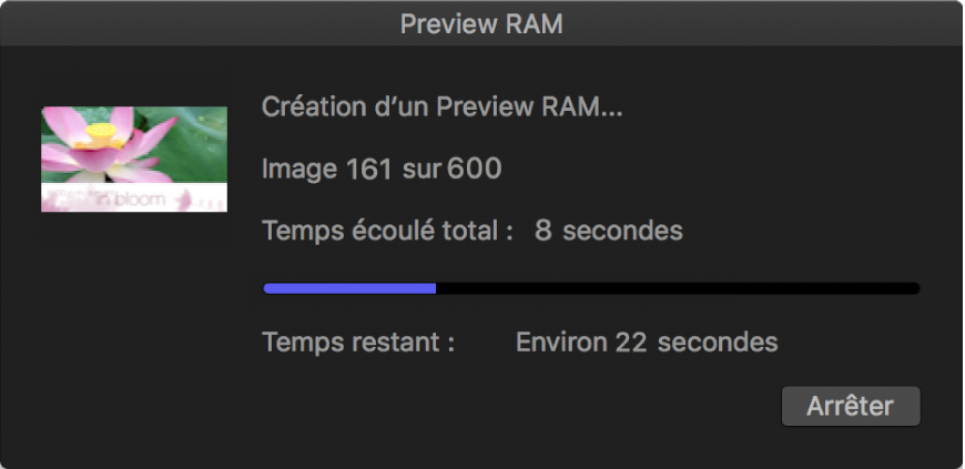 Zone de dialogue de progression de preview RAM