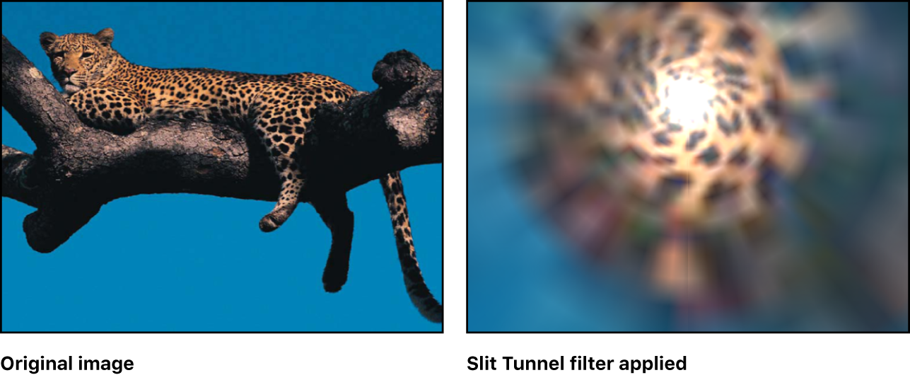 「スリットトンネル」フィルタの効果を示すキャンバス