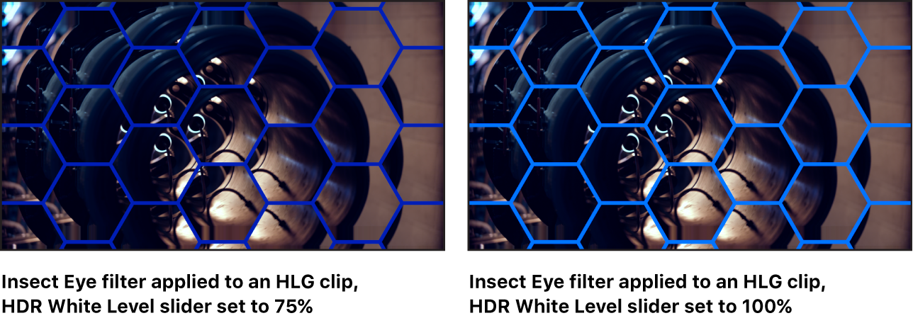 ‘곤충 눈’ 필터에서 HDR 흰색 레벨 슬라이더를 조절하는 효과를 보여주는 캔버스.