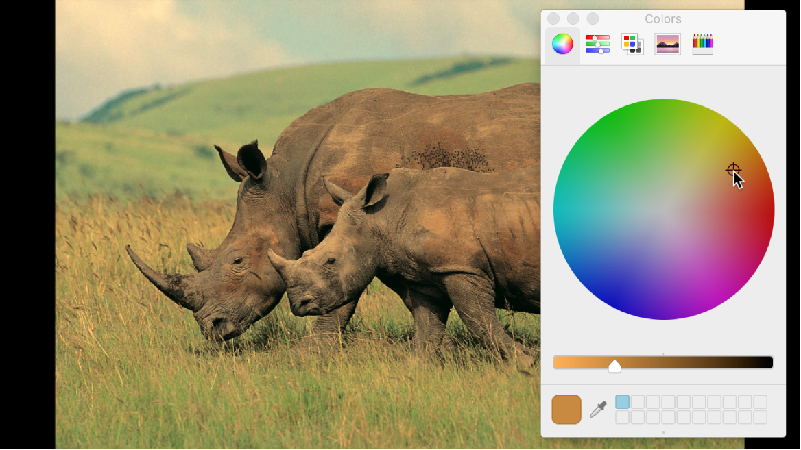색상 윈도우를 사용하여 이미지 색상 재조절