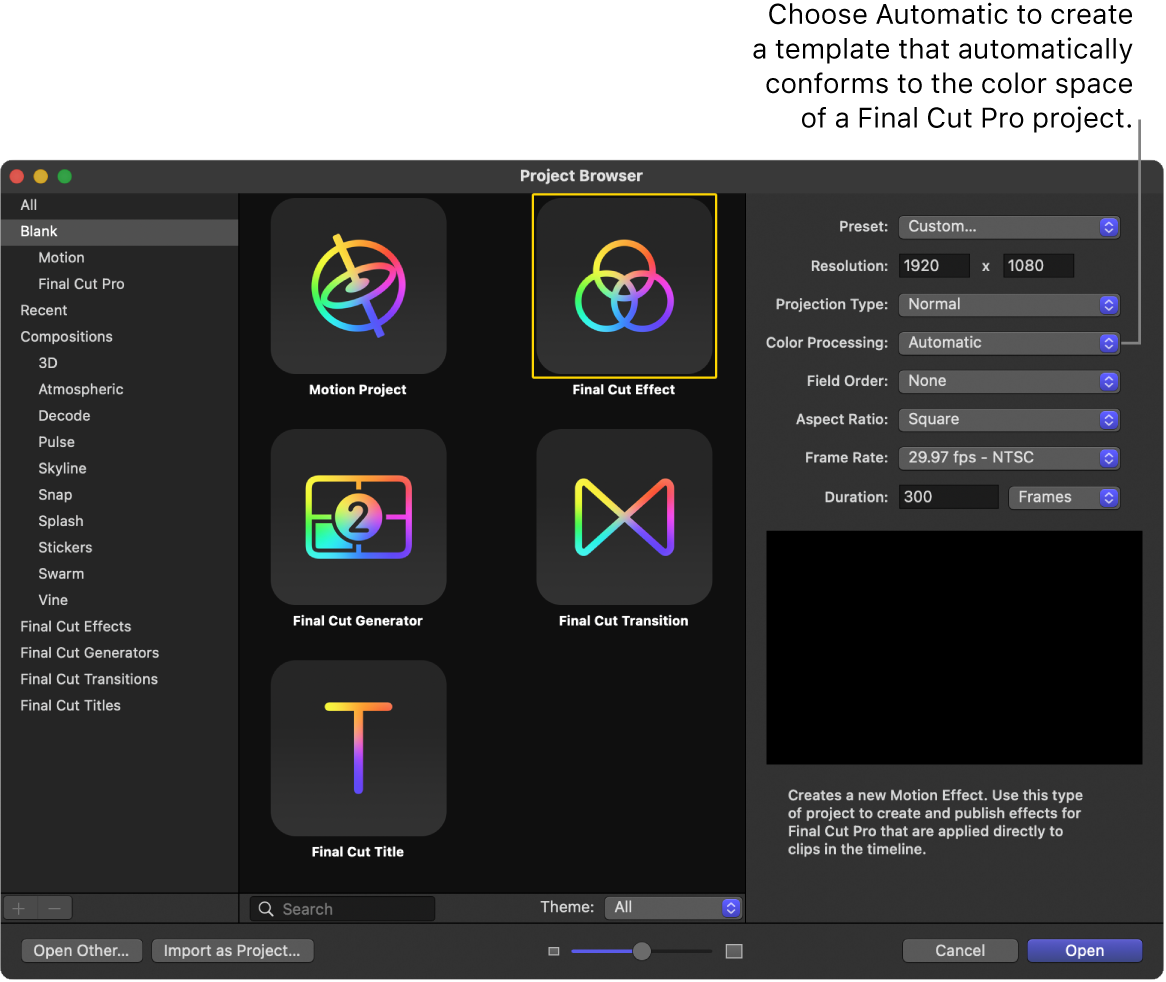 显示被选中的“Final Cut 效果”图标和“颜色处理”设为“自动”的项目浏览器
