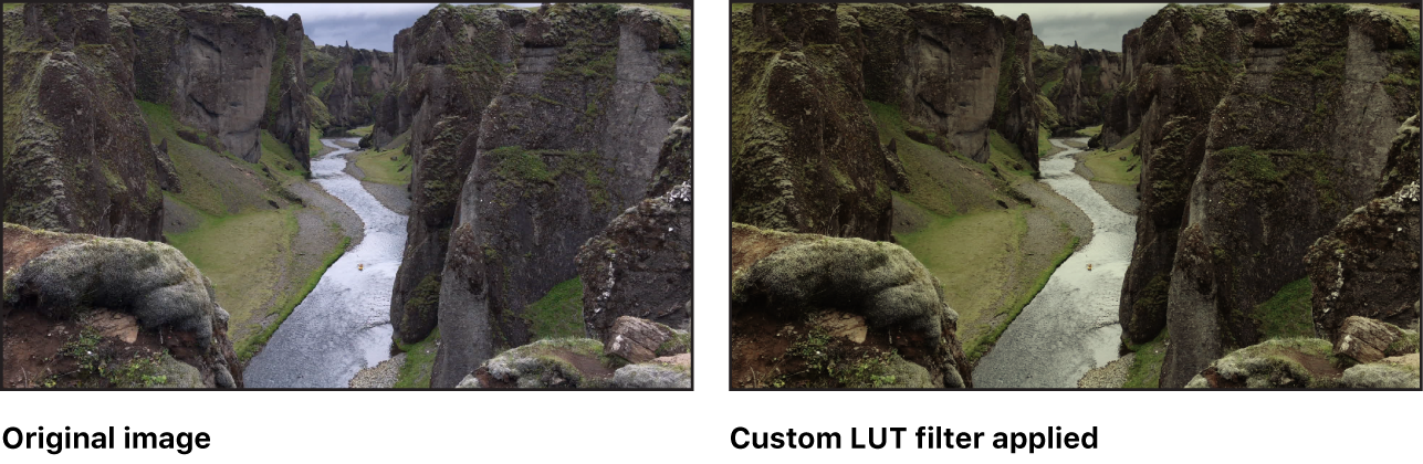 显示使用“自定义 LUT”滤镜应用的 LUT 效果的画布