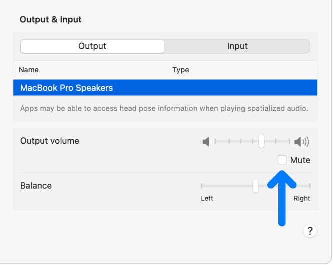 The Mute tick box in the Output options in Sound settings.