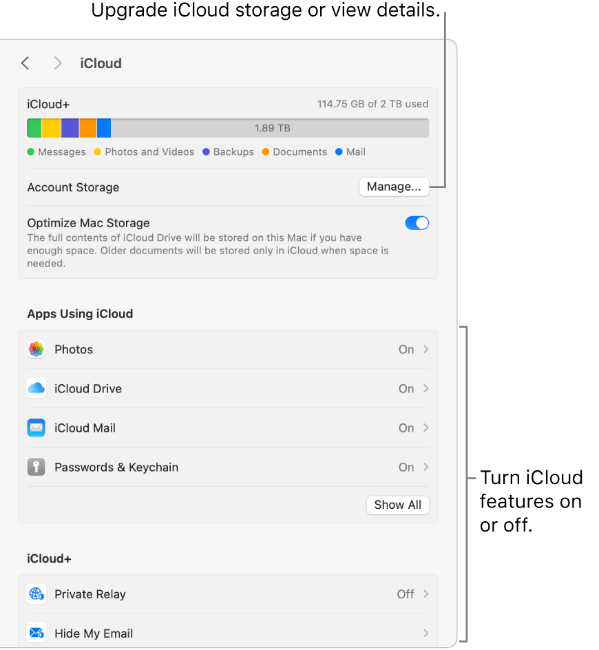 iCloud settings with all the features turned on.