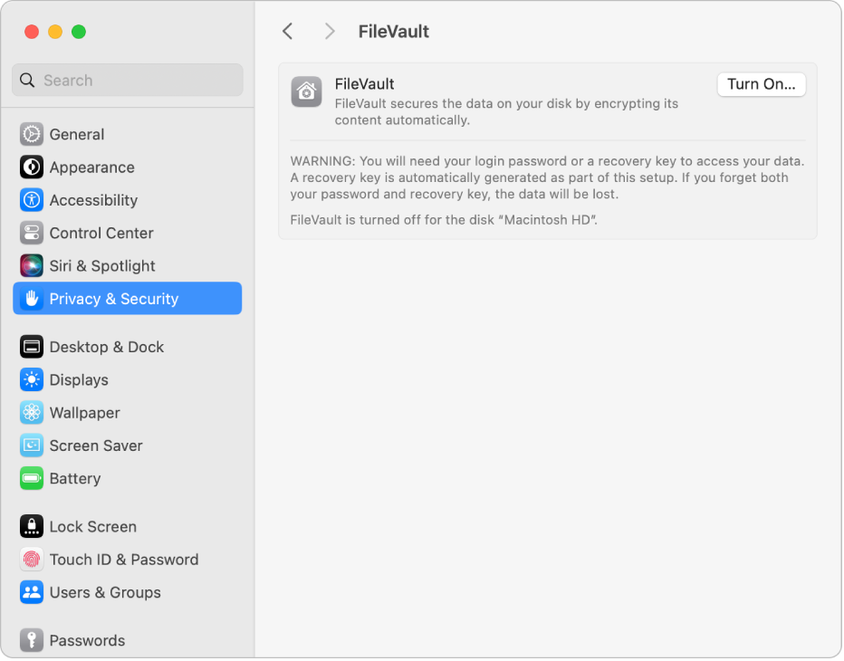 The FileVault System Settings window.