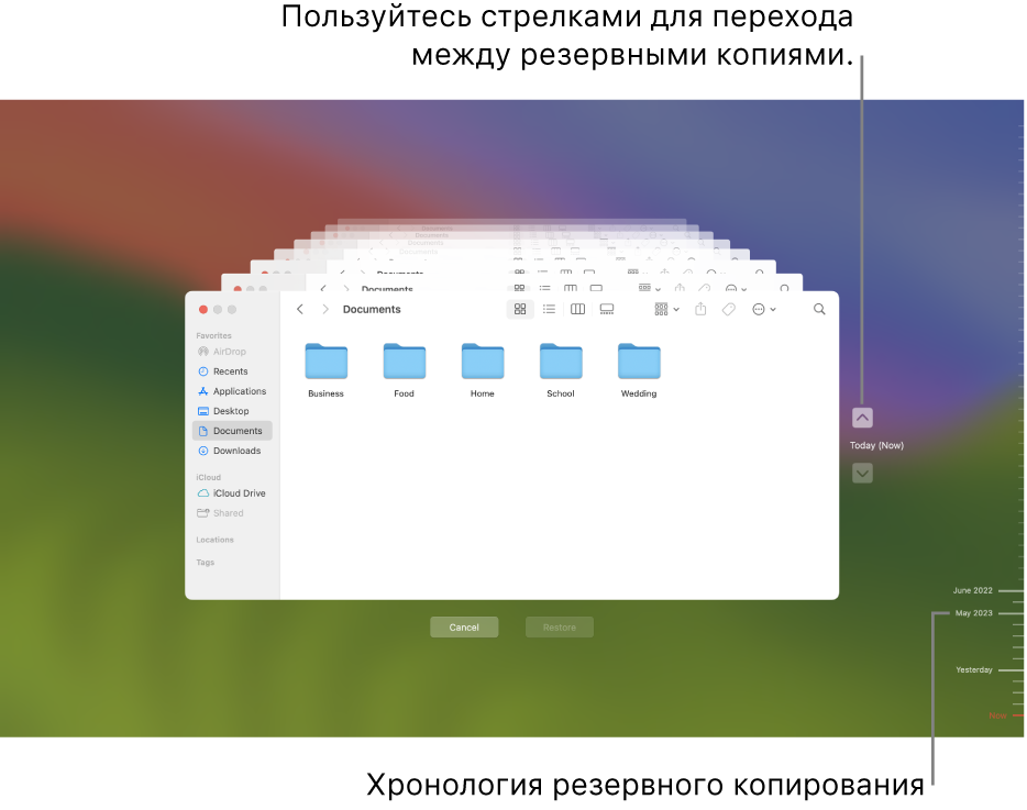 Окно Time Machine, в котором отображаются окна Finder, каждое из которых представляет собой резервную копию, и стрелки для навигации. С помощью стрелок и шкалы времени резервного копирования справа можно перемещаться между резервными копиями и выбирать файлы для восстановления.
