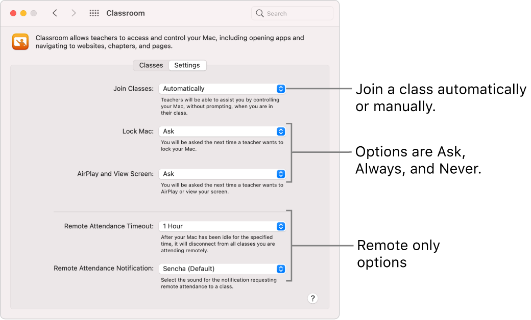 Students’ view of Classroom permissions that are available to them.