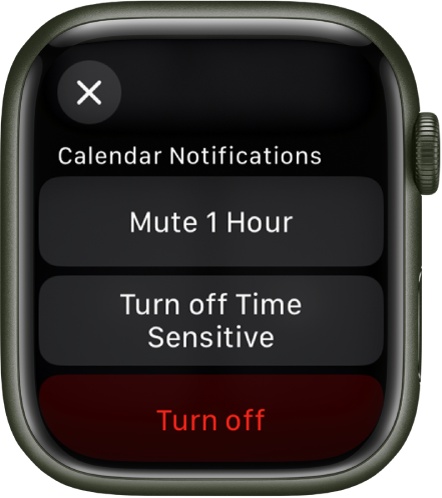Notification settings on Apple Watch. The top button reads "Mute 1 Hour.” Below are buttons for Turn off Time Sensitive and Turn Off.