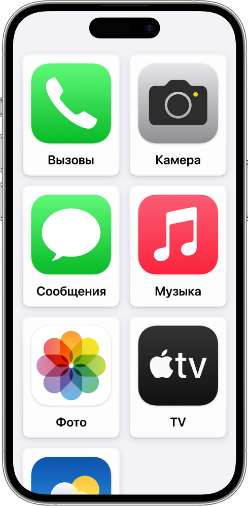 На iPhone показан экран &laquo;Домой&raquo; в режиме Упрощенного доступа с крупными значками приложений и их названиями в виде сетки.