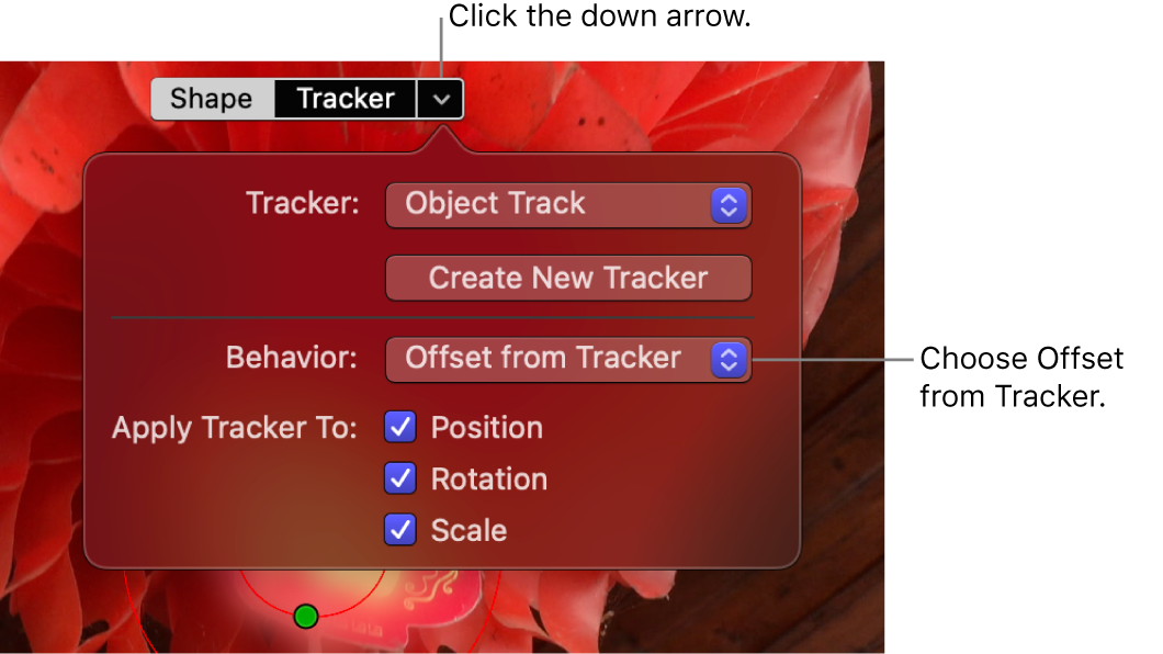 Die Taste „Tracker“ und der Abwärtspfeil befinden sich oben im Viewer, wobei die Tracker-Steuerelemente unten angezeigt wird und im Einblendmenü „Verhalten“ die Option „Versatz vom Tracker“ ausgewählt ist.