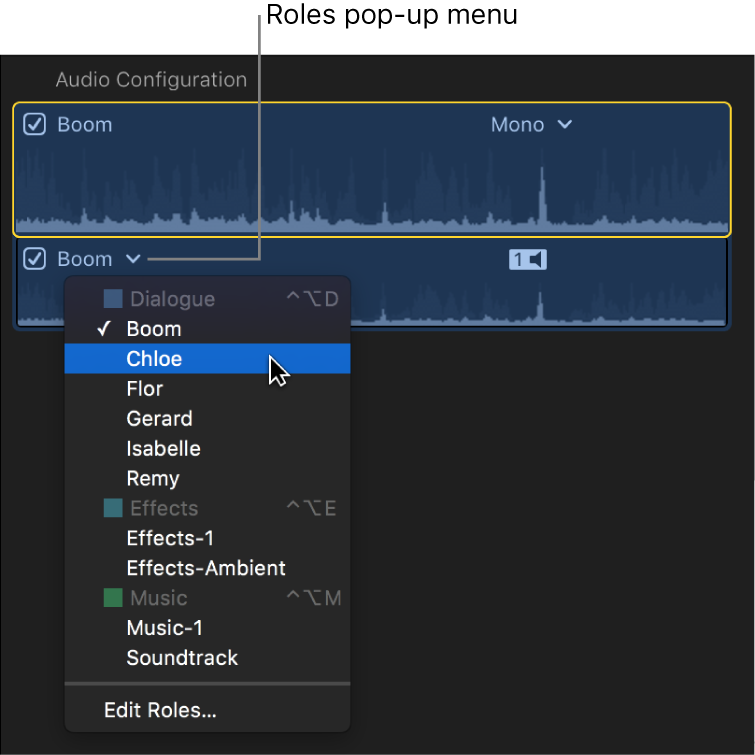 The Roles pop-up menu for an audio component