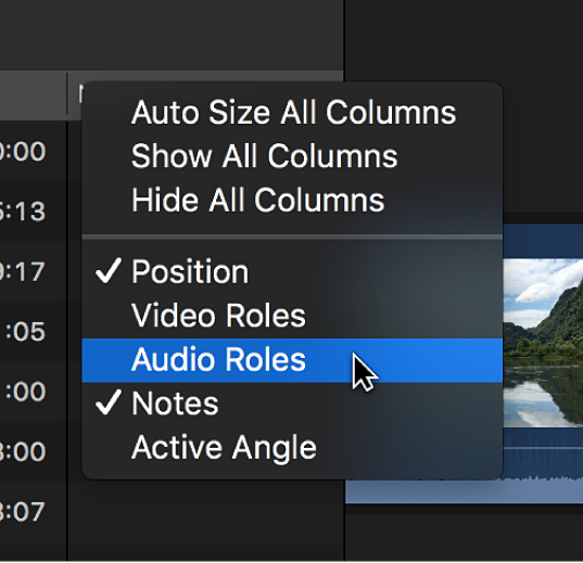 A shortcut menu for customizing the display of columns in the timeline index