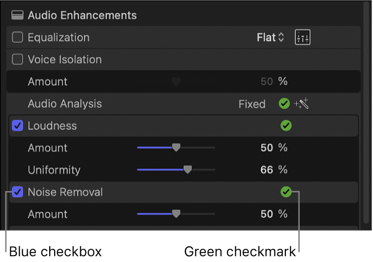 The Audio Enhancements section of the Audio inspector, showing a blue checkbox next to Loudness and Noise Removal and green checkmarks to the right of Audio Analysis, Loudness, and Noise Removal