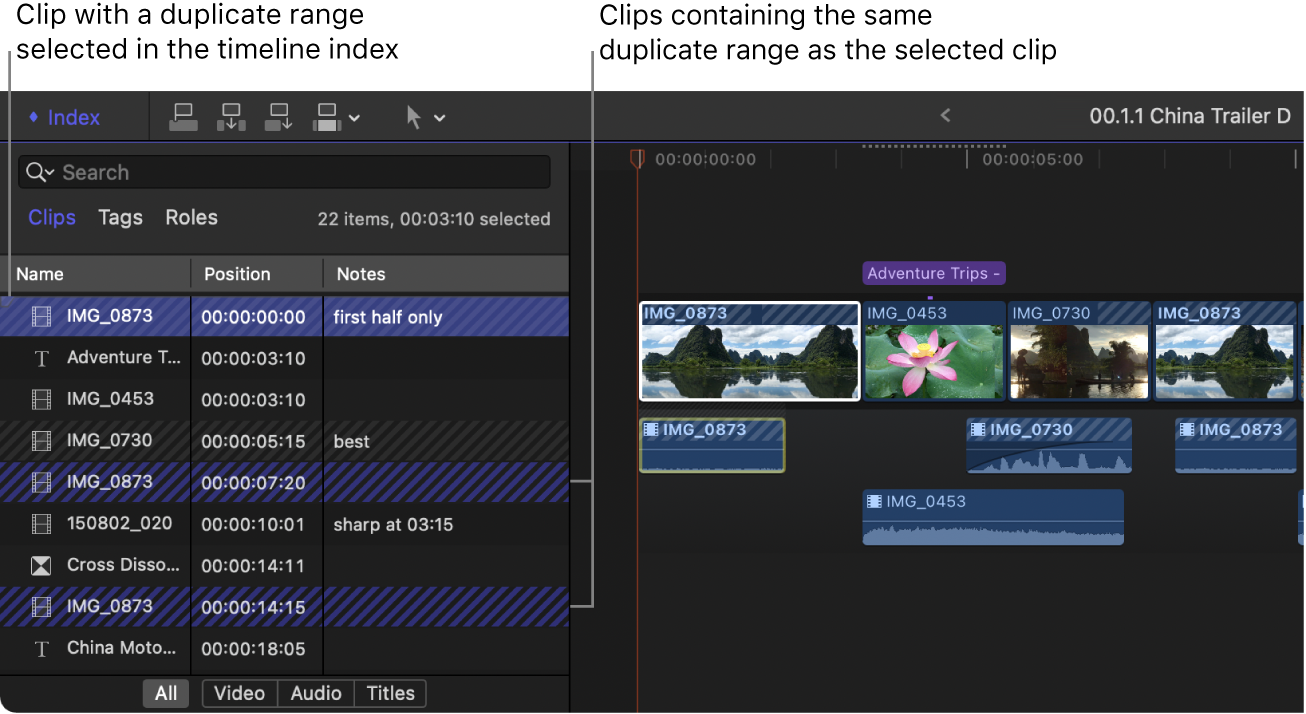A clip with a duplicate range selected in the timeline index. The selected clip and two other clips with the same duplicate range are highlighted with blue diagonal lines. Clips with other duplicate ranges appear with gray diagonal lines.