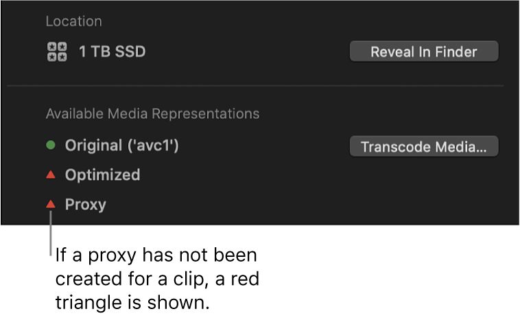 Inspector de información y triángulo rojo que indica que no existe ningún archivo proxy para el clip seleccionado