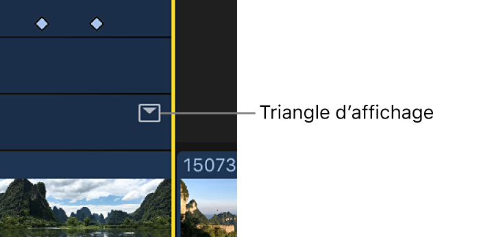 Triangle d’affichage d’un effet dans l’éditeur d’animation vidéo