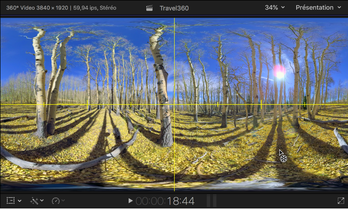 Visualiseur montrant les guides Horizon jaunes sur un plan vidéo 360°