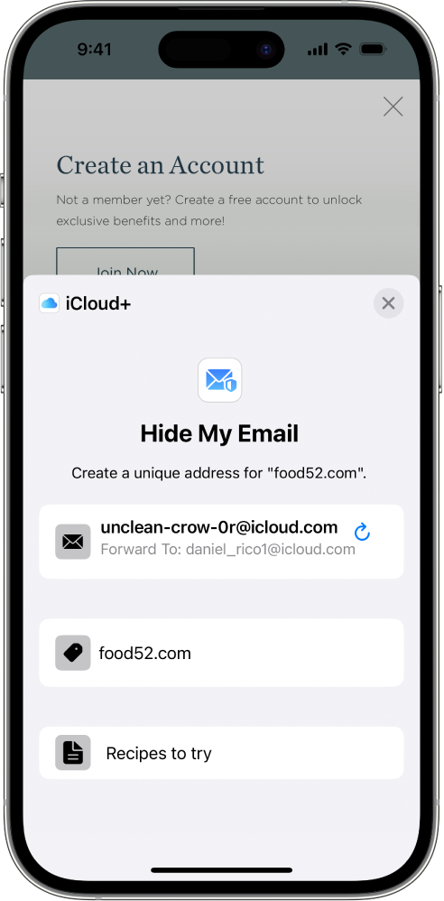Экран функции «Скрыть e-mail» в браузере Safari на iPhone.