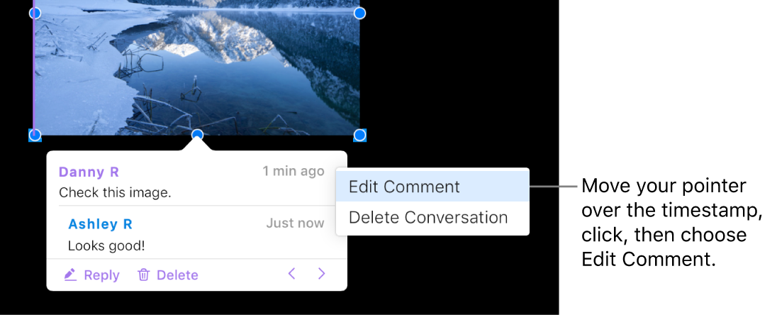 A comment is open, the pointer is over the timestamp at the top; a pop-up menu shows two options: Edit Comment and Delete Conversation.